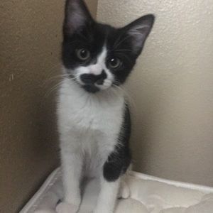 Meet your Posher, Bryan